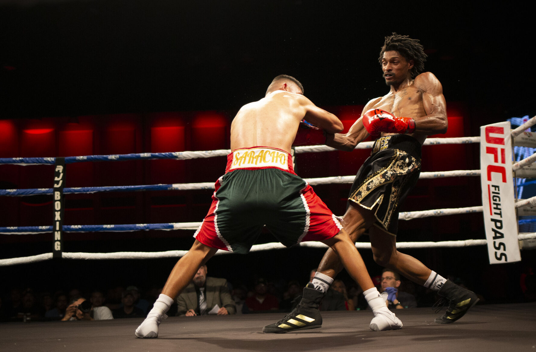 Roy Jones Championship Boxing
